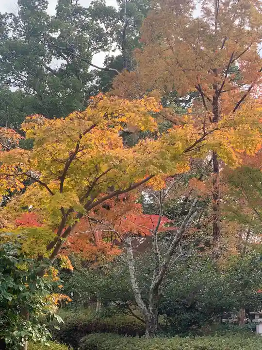 壺井八幡宮(大阪府)