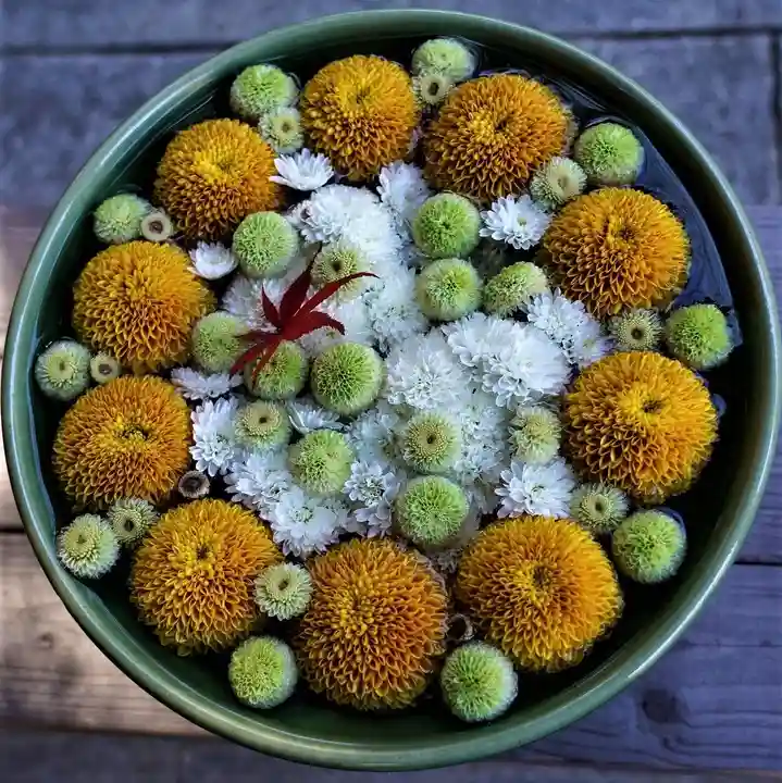 滑川神社 - 仕事と子どもの守り神の手水舎