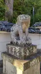 荒見神社の狛犬