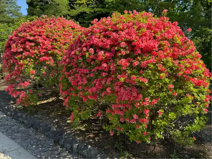 茨城縣護國神社(茨城県)