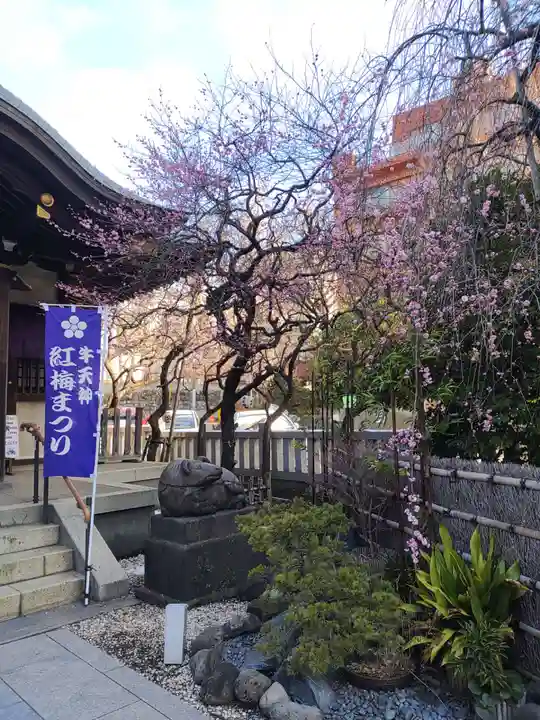 牛天神北野神社(東京都)