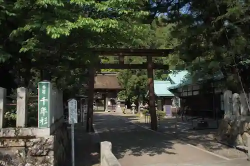 若狭姫神社（若狭彦神社下社）の鳥居