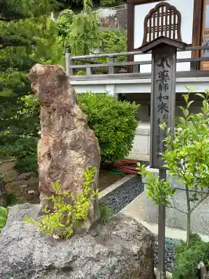 金剛寺の{uncategorized: "未分類", other: "その他", undefined: "問題あり", building: "その他建物", grave: "お墓", sacred_gate: "鳥居", guardian: "狛犬", statue: "像", buddha: "仏像", history: "歴史", nature: "自然", garden: "庭園", animal: "動物", pagoda: "塔", temizu: "手水舎", mountain_gate: "山門・神門", sanctuary: "本殿・本堂", subordinate: "末社・摂社", art: "芸術", scenery: "景色", jizo: "地蔵", ema: "絵馬", goshuin: "御朱印", omikuji: "おみくじ", items: "授与品その他", amulet: "お守り", goshuincho: "御朱印帳", eats: "食事", festival: "お祭り", votive_dance: "神楽", shichigosan: "七五三参", wedding: "結婚式", experience: "体験その他", initially: "初詣", around: "周辺", anti_infection: "感染症対策"}