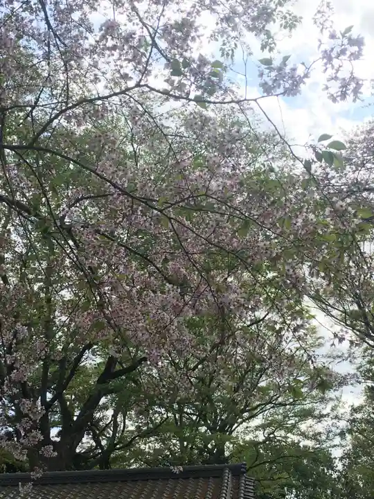 延寿院(千葉県)