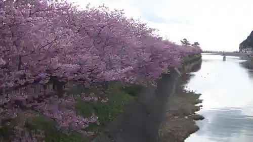 かっぱの寺 栖足寺の自然
