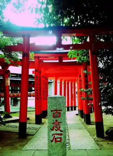 豊栄稲荷神社の鳥居