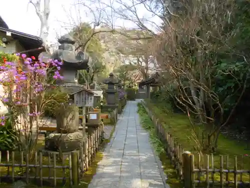 安國論寺（安国論寺）の庭園