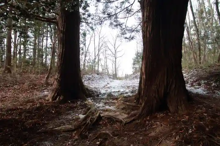 鹿島大神宮の自然