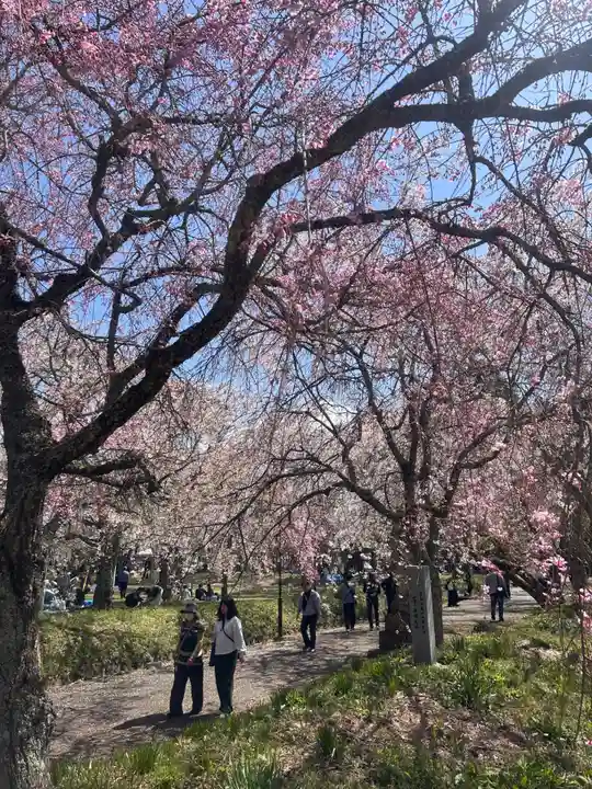 徳佐八幡宮(山口県)