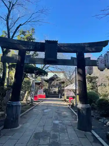 江島神社の鳥居