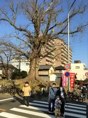 津島神社 御旅所跡(愛知県)