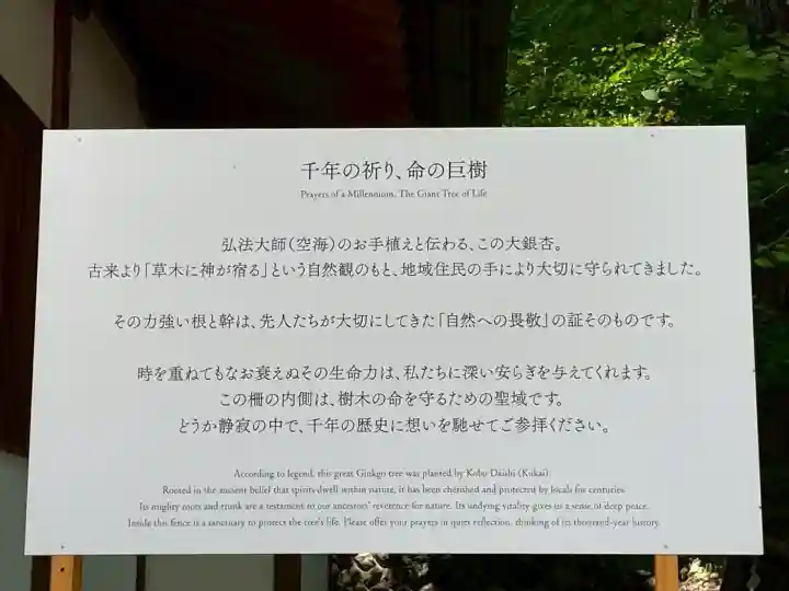 来迎院の{uncategorized: "未分類", other: "その他", undefined: "問題あり", building: "その他建物", grave: "お墓", sacred_gate: "鳥居", guardian: "狛犬", statue: "像", buddha: "仏像", history: "歴史", nature: "自然", garden: "庭園", animal: "動物", pagoda: "塔", temizu: "手水舎", mountain_gate: "山門・神門", sanctuary: "本殿・本堂", subordinate: "末社・摂社", art: "芸術", scenery: "景色", jizo: "地蔵", ema: "絵馬", goshuin: "御朱印", omikuji: "おみくじ", items: "授与品その他", amulet: "お守り", goshuincho: "御朱印帳", eats: "食事", festival: "お祭り", votive_dance: "神楽", shichigosan: "七五三参", wedding: "結婚式", experience: "体験その他", initially: "初詣", around: "周辺", anti_infection: "感染症対策"}