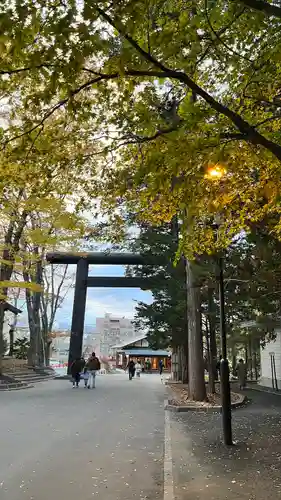 北海道神宮の鳥居