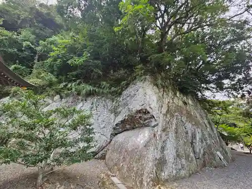 安房神社(千葉県)