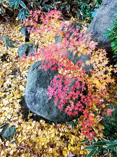 神炊館神社 ⁂奥州須賀川総鎮守⁂(福島県)
