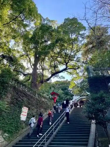 江島神社の自然