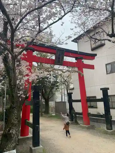 日根神社の鳥居