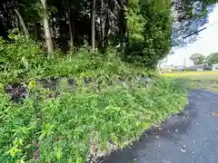 大和神社(奈良県)