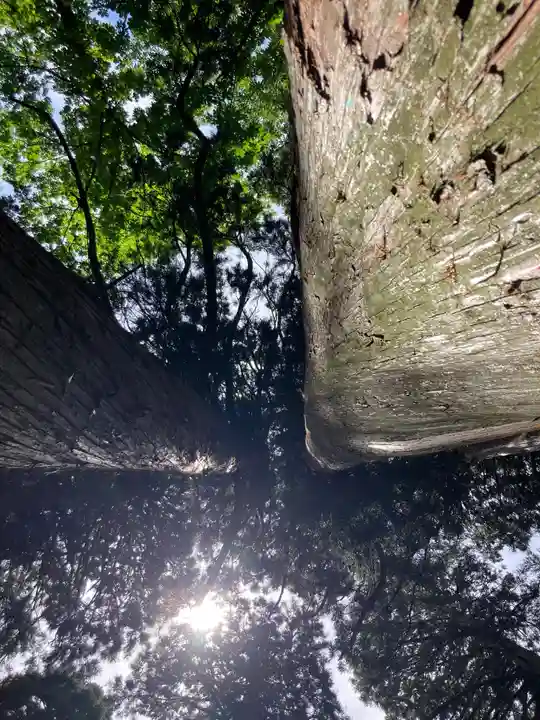 戸隠神社奥社(長野県)