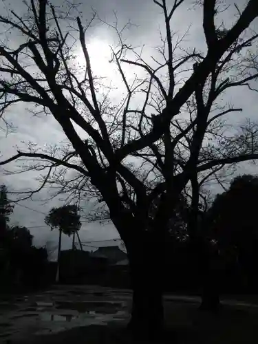 伏木香取神社(茨城県)