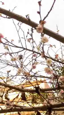 玉造稲荷神社(大阪府)