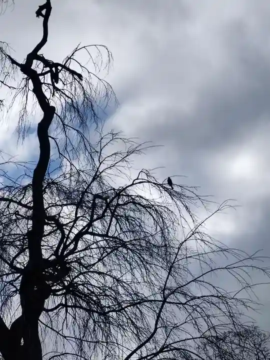 神炊館神社 ⁂奥州須賀川総鎮守⁂(福島県)