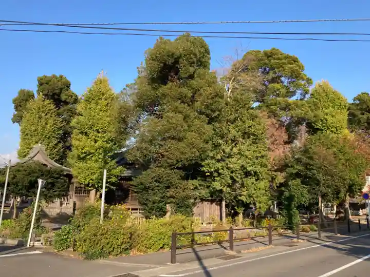 井細田八幡神社(神奈川県)