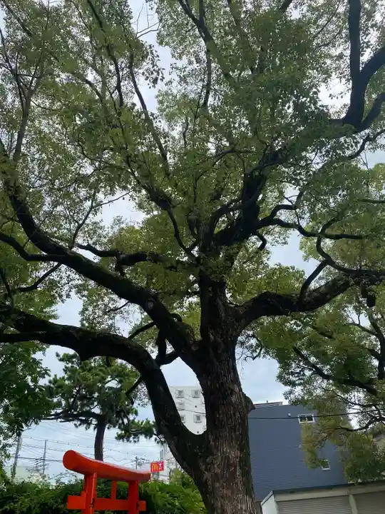 止止呂支比売命神社(大阪府)