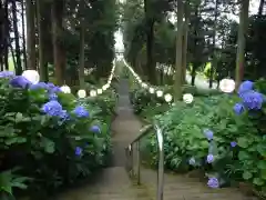 磯山神社の景色