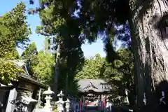 涼ケ岡八幡神社の建物その他