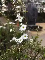 大生郷天満宮の自然