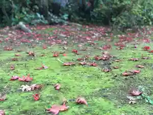 木舟山 順教寺の自然(2021年09月06日(月) 11時06分07秒投稿)