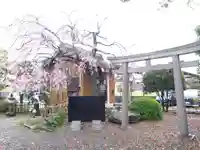 青嶋八幡宮神社(静岡県)