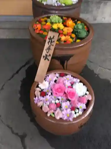 多賀神社の手水