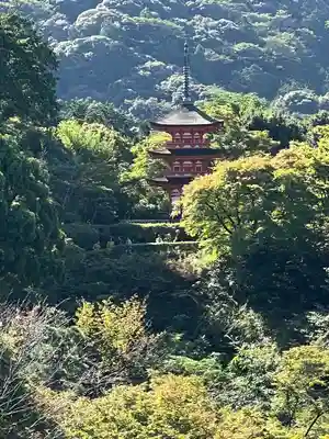 清水寺(京都府)