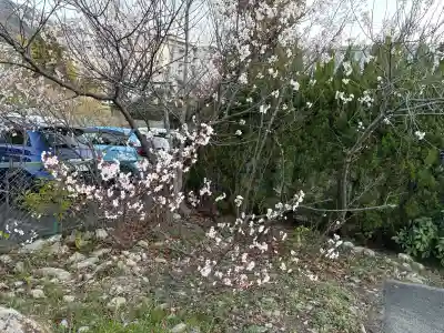 兵庫縣神戸護國神社の{uncategorized: "未分類", other: "その他", undefined: "問題あり", building: "その他建物", grave: "お墓", sacred_gate: "鳥居", guardian: "狛犬", statue: "像", buddha: "仏像", history: "歴史", nature: "自然", garden: "庭園", animal: "動物", pagoda: "塔", temizu: "手水舎", mountain_gate: "山門・神門", sanctuary: "本殿・本堂", subordinate: "末社・摂社", art: "芸術", scenery: "景色", jizo: "地蔵", ema: "絵馬", goshuin: "御朱印", omikuji: "おみくじ", items: "授与品その他", amulet: "お守り", goshuincho: "御朱印帳", eats: "食事", festival: "お祭り", votive_dance: "神楽", shichigosan: "七五三参", wedding: "結婚式", experience: "体験その他", initially: "初詣", around: "周辺", anti_infection: "感染症対策"}