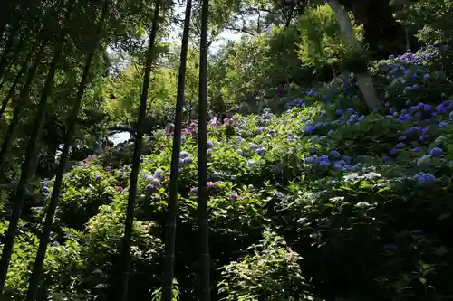 長谷寺(神奈川県)