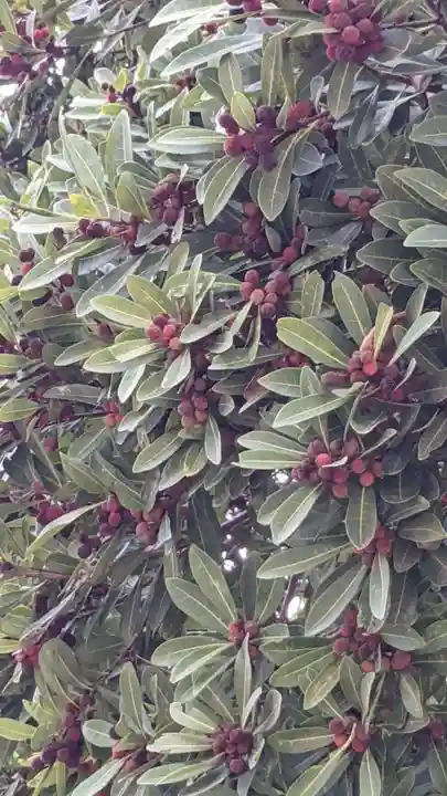 海蔵寺(愛知県)