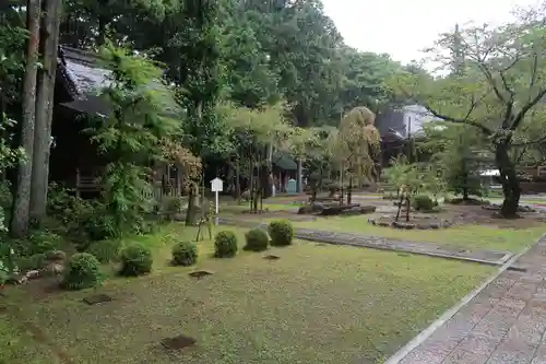 國分寺の庭園