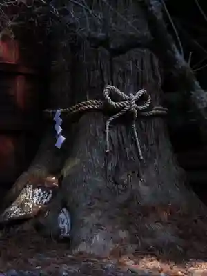 北口本宮冨士浅間神社(山梨県)