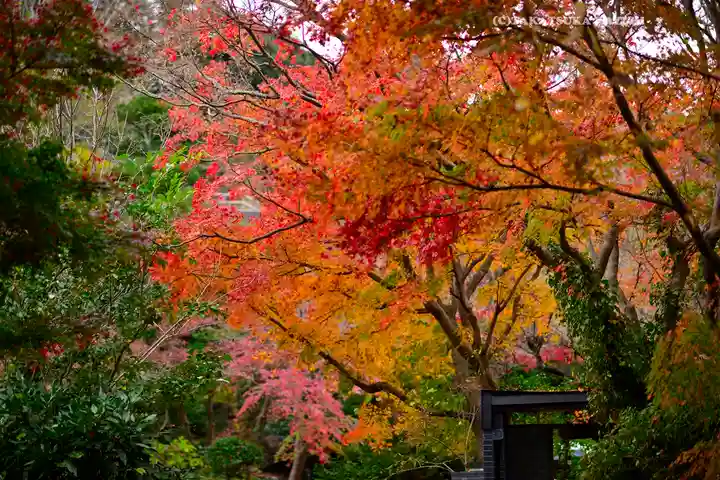 円覚寺(神奈川県)