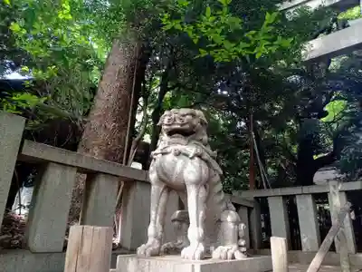 渋谷氷川神社(東京都)