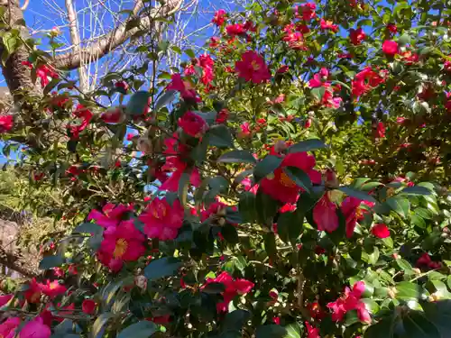 葛原岡神社の自然