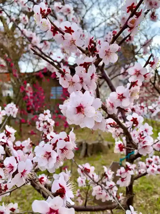 榴岡天満宮(宮城県)