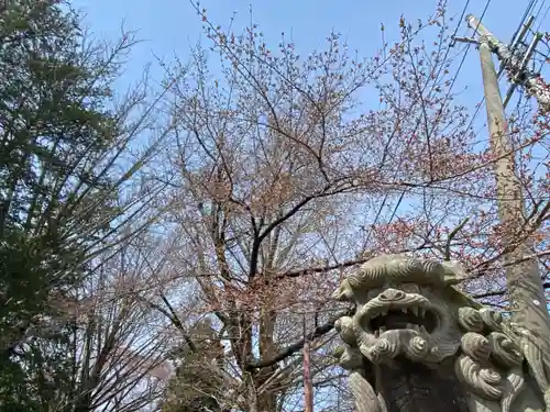 神炊館神社 ⁂奥州須賀川総鎮守⁂の狛犬