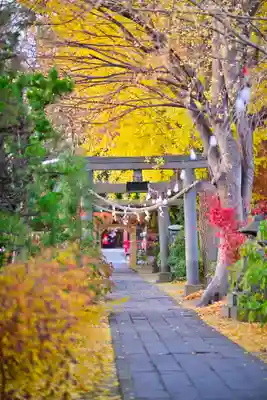 越谷香取神社(埼玉県)