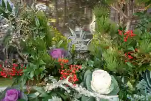 國魂神社の手水舎(2021年02月16日(火) 12時09分32秒投稿)