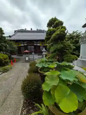 長善寺(東京都)