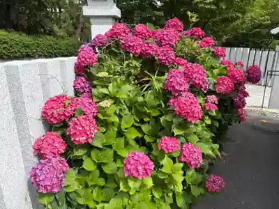 芦屋神社(兵庫県)