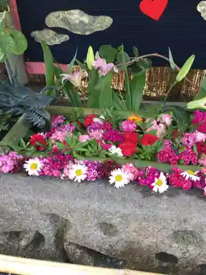 竹神社の手水舎